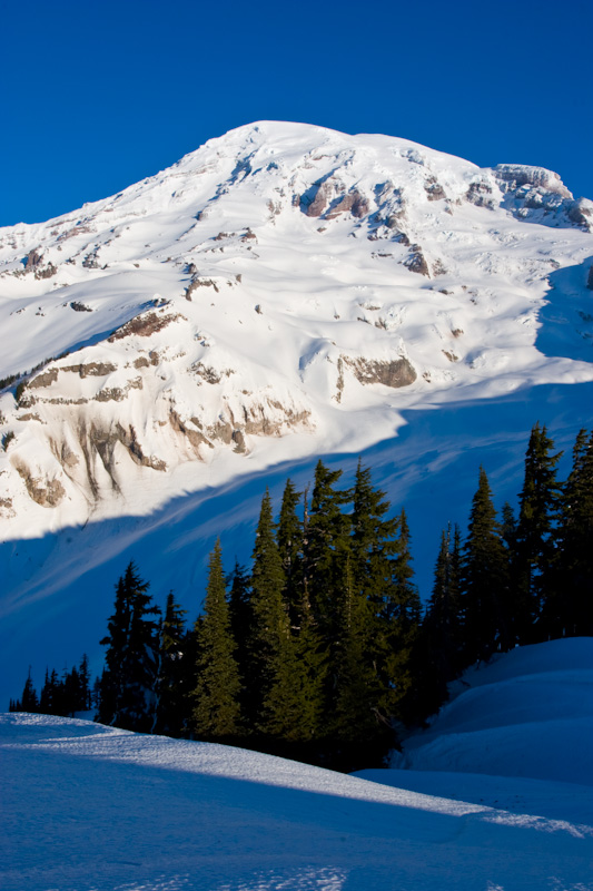 Mount Rainier In Winter